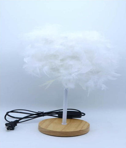 Fancy Feather Lamp